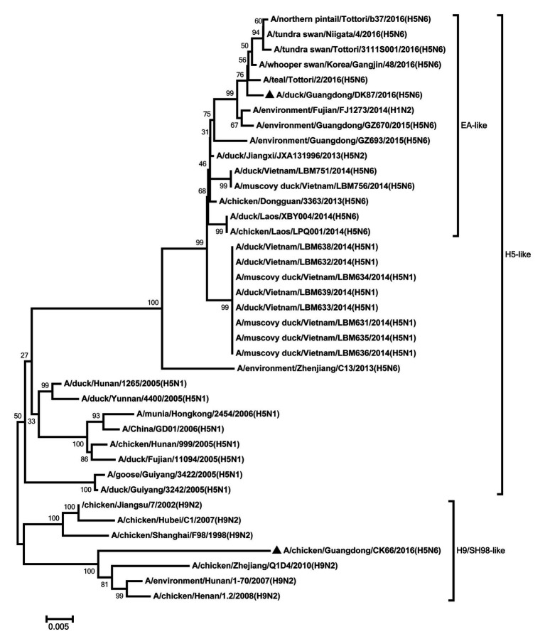 Figure 6