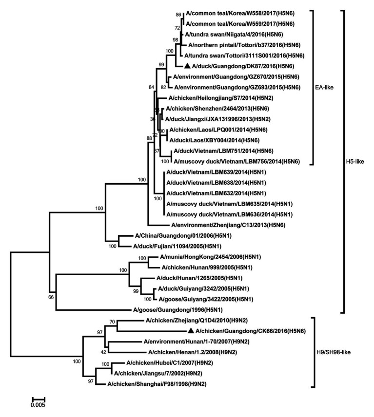 Figure 5