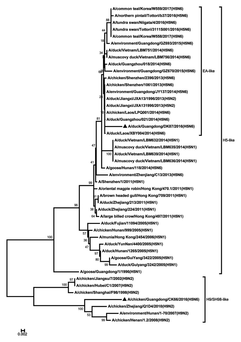 Figure 7