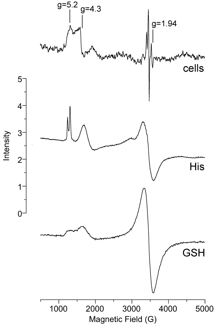 Fig. 9