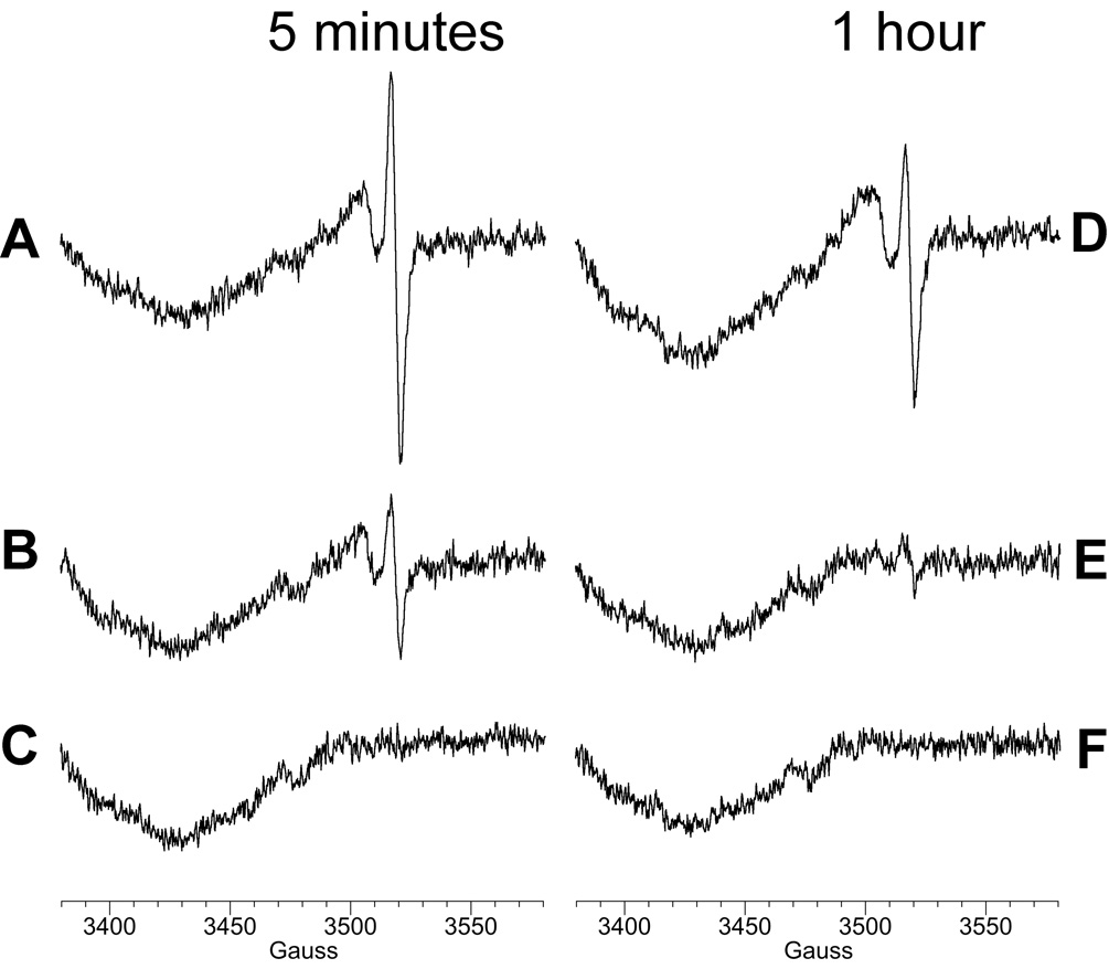 Fig. 10