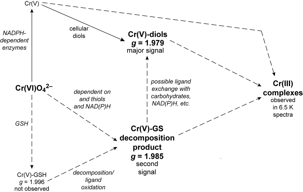 Fig. 14