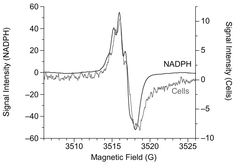 Fig. 8