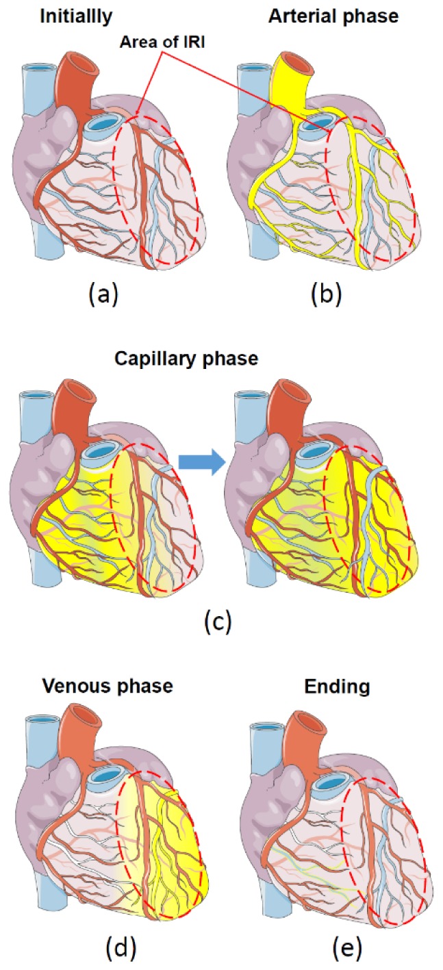 Fig. 5