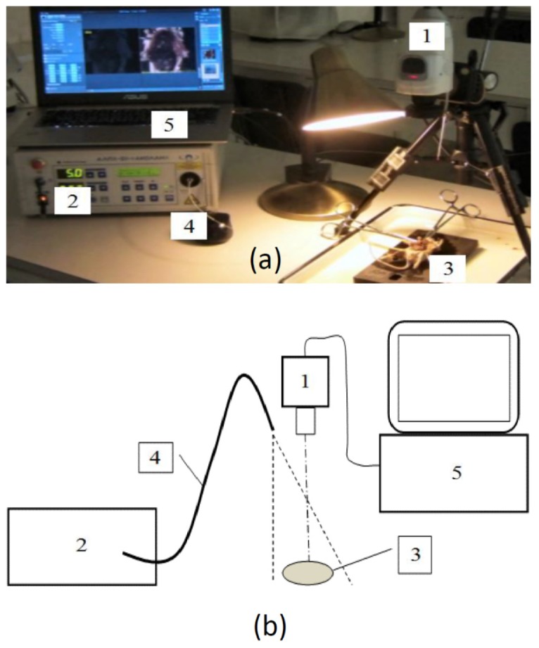 Fig. 2