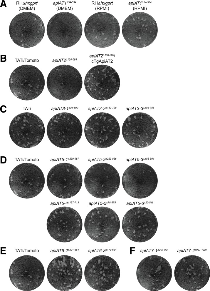 Fig 3