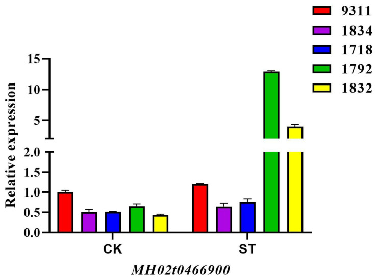 Figure 5