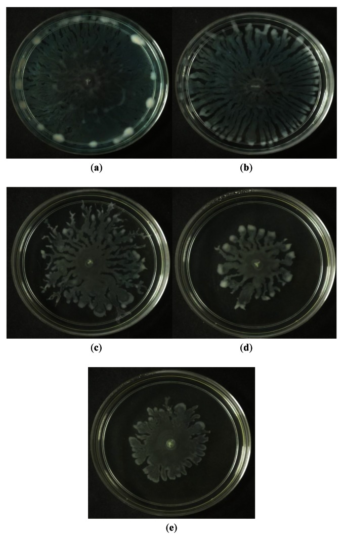 Figure 5.