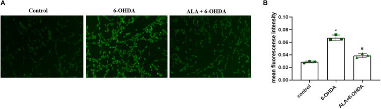 FIGURE 4