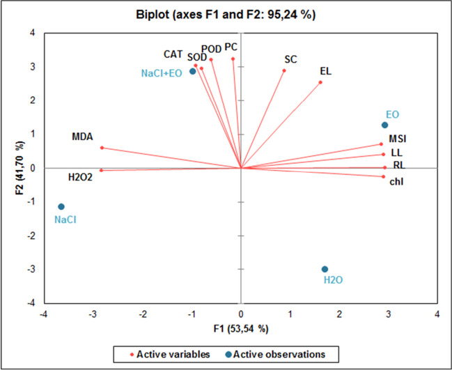 Fig. 6