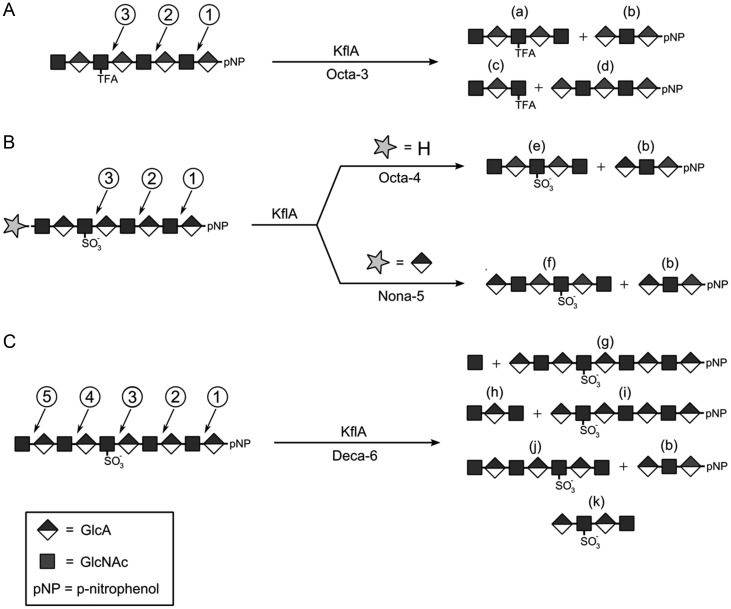 Fig. 4.