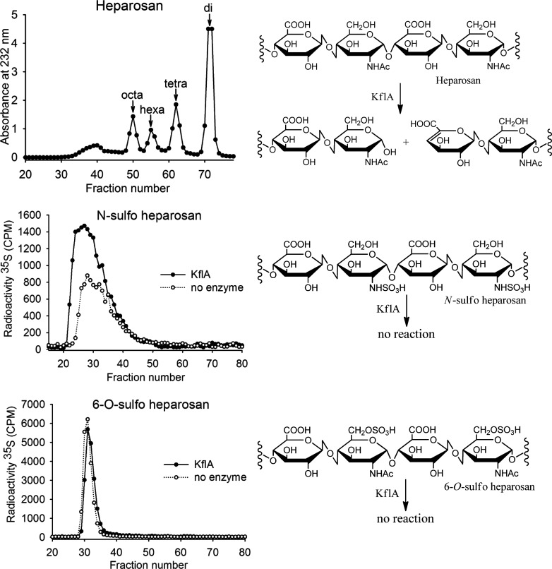 Fig. 2.