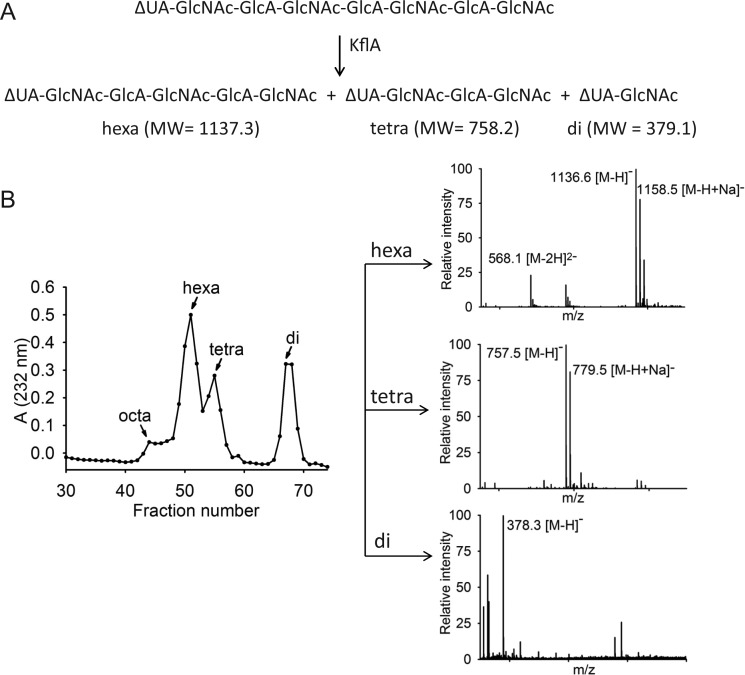 Fig. 3.