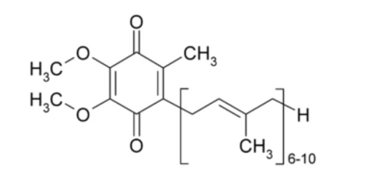 Fig. (1)