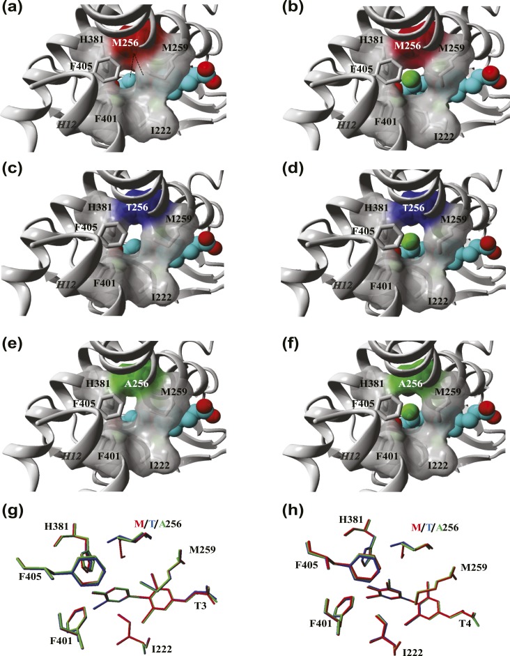 Figure 2.