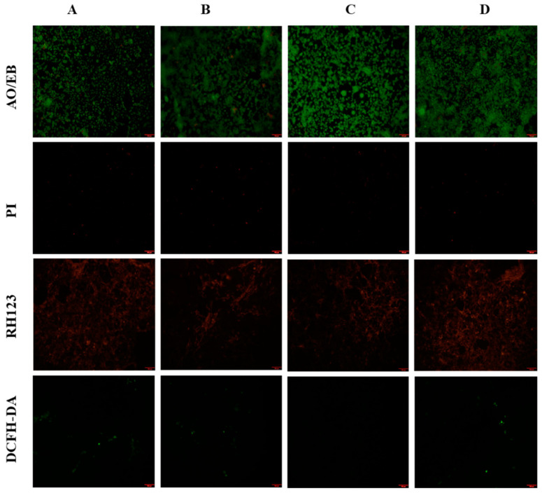 Figure 10