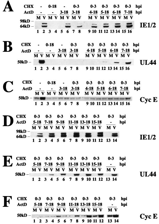 FIG. 11