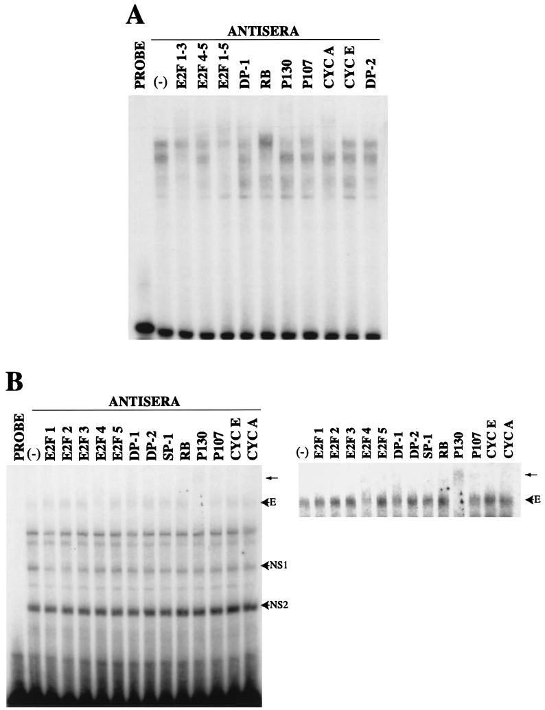 FIG. 6