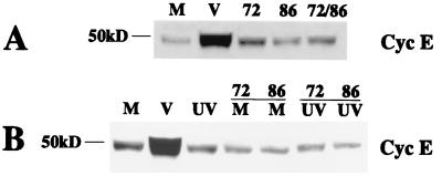 FIG. 9