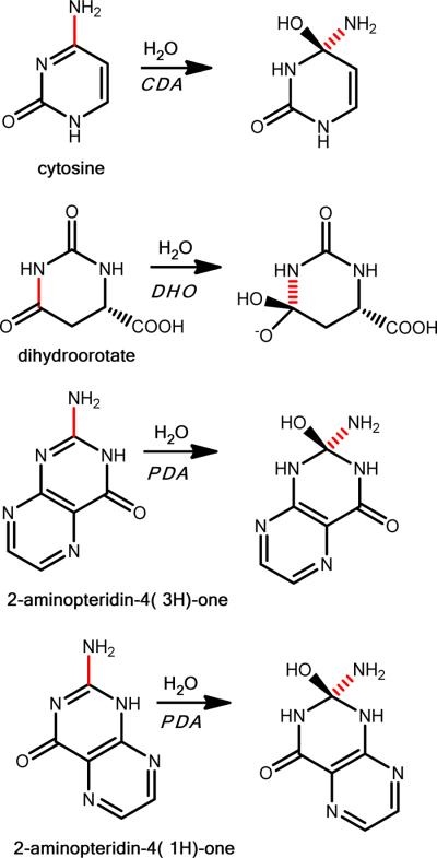 Scheme 2