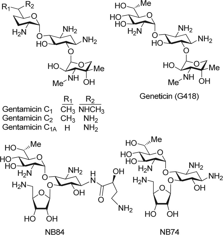 FIGURE 1.