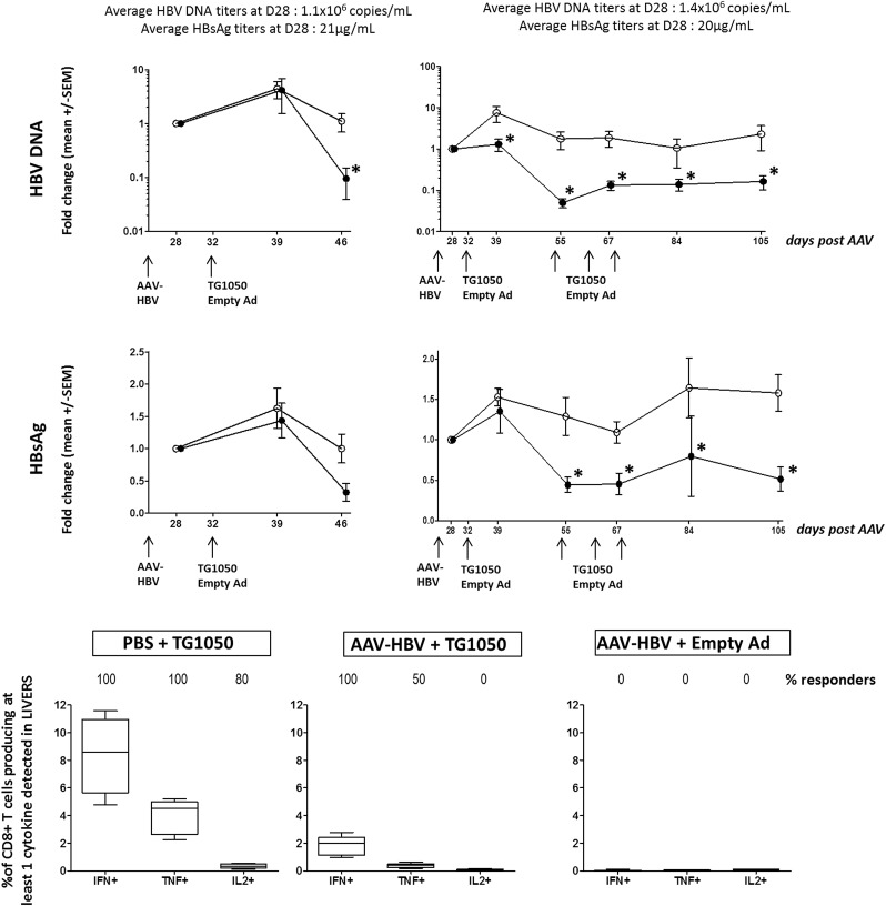 Figure 6