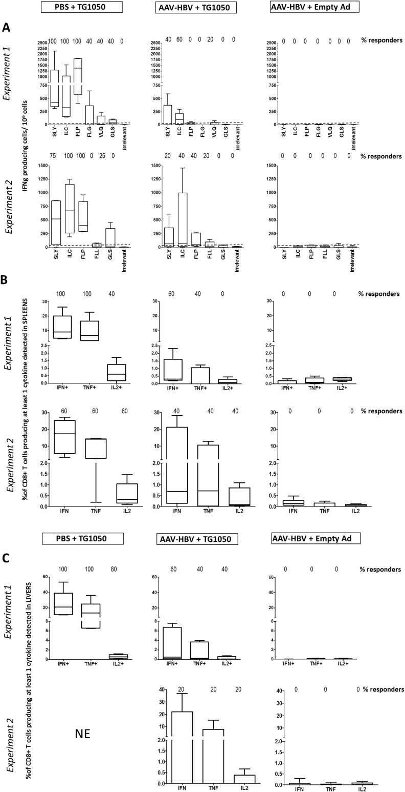 Figure 4