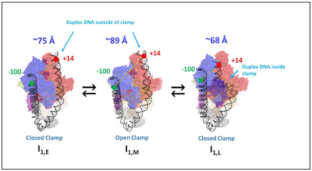 graphic file with name nihms-1580594-f0001.jpg