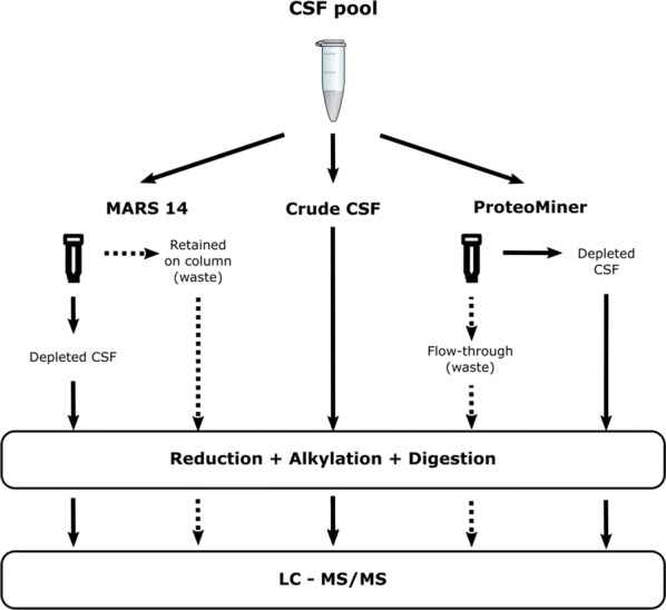 Fig. 1