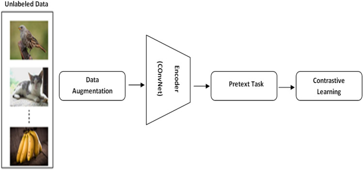 Fig. 10