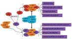 Fig. (9)