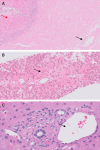 Fig. 6.