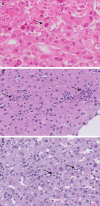 Fig. 8.