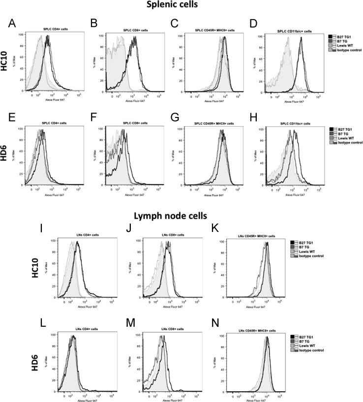 Fig. 8