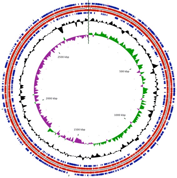 Fig. 2