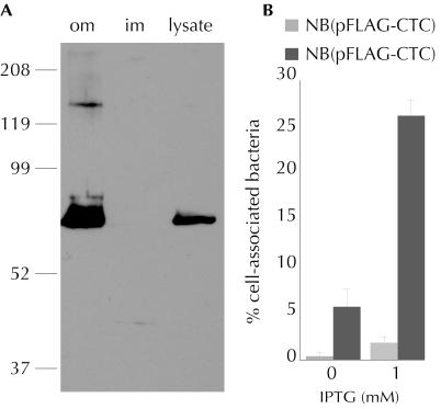 FIG. 7.