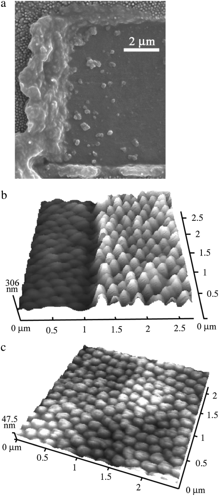 FIGURE 4