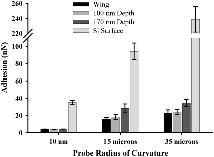 FIGURE 12