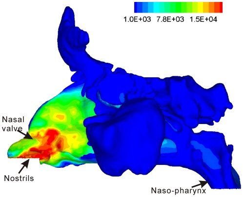 Figure 7