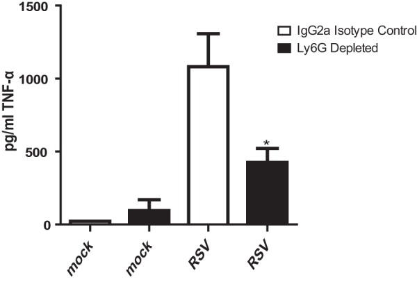 Fig 10