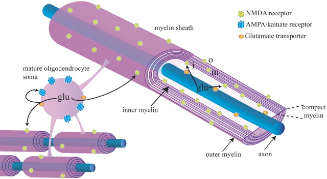 Fig. 3