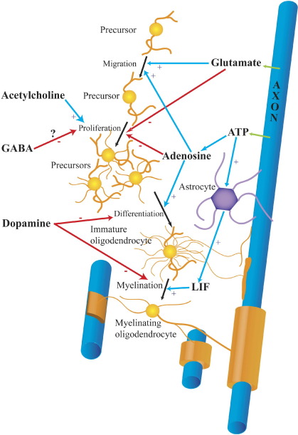 Fig. 2