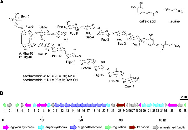 Figure 6 