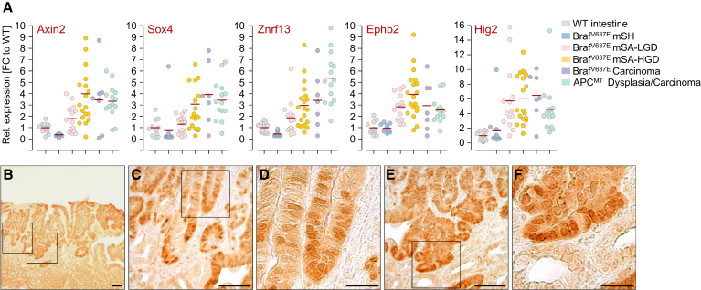 Figure 6