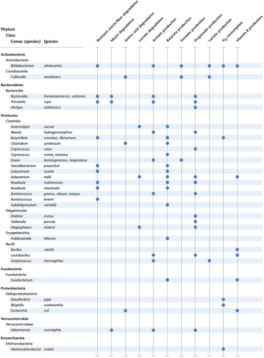 tabular image