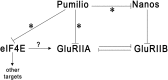 Figure 10.