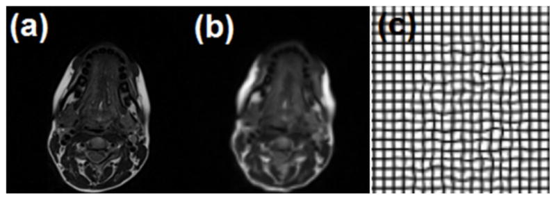 Fig. 9