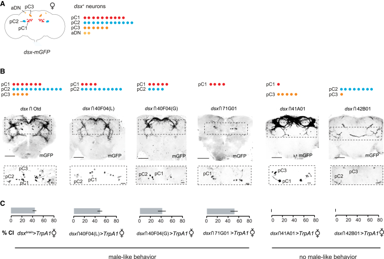 Figure 3