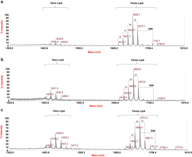 Fig. 4