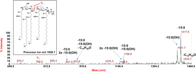 Fig. 7